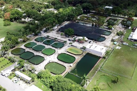 Commercial property in Homestead, Florida № 1753895 - photo 1