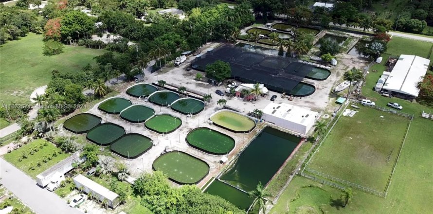 Commercial property in Homestead, Florida № 1753895