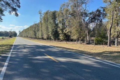 Land in Bell, Florida № 1518720 - photo 8