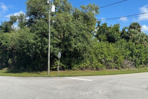 Land in Rotonda, Florida № 2159029 - photo 2
