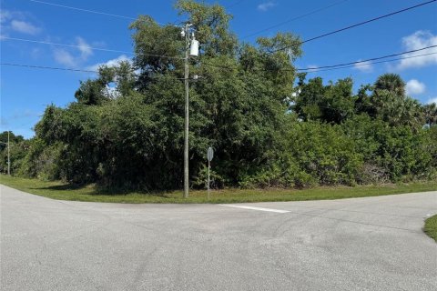 Terreno en Rotonda, Florida № 2159029