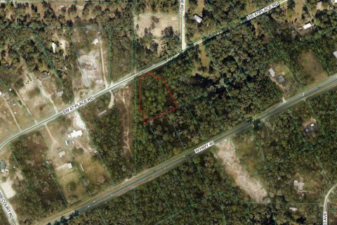 Terrain à Ocala, Floride № 2099149