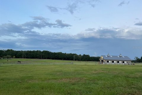 Casa en alquiler en Dunnellon, Florida, 1 habitación № 1724776 - foto 11