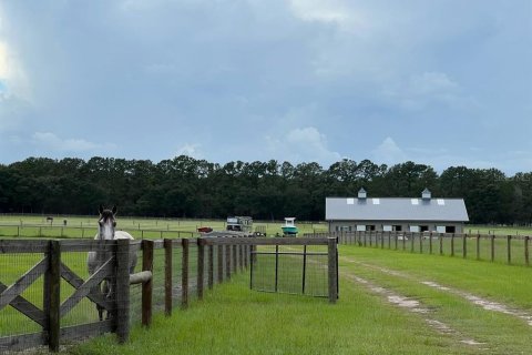 Casa en alquiler en Dunnellon, Florida, 1 habitación № 1724776 - foto 1