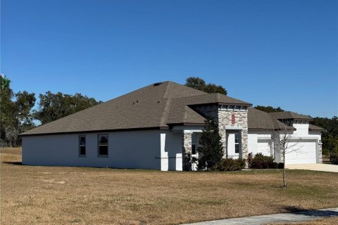 Casa en venta en Thonotosassa, Florida, 4 dormitorios, 303.98 m2 № 2144745 - foto 7