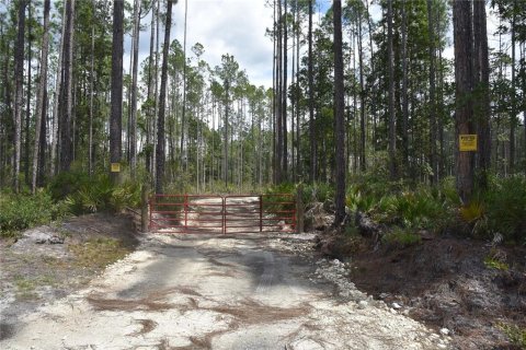 Land in Fort MC Coy, Florida № 1555739 - photo 1