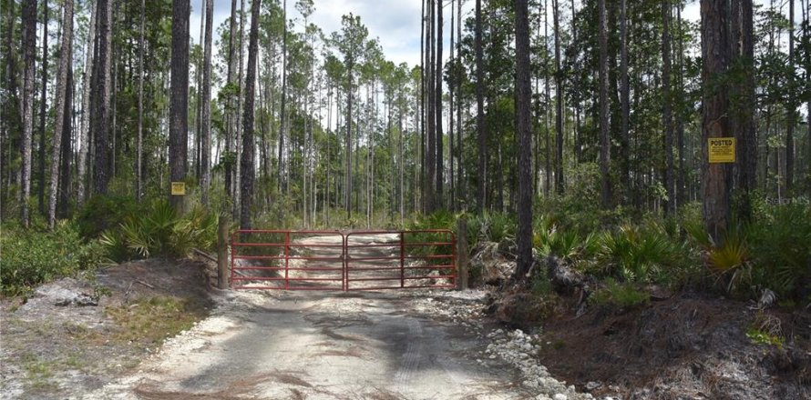 Land in Fort MC Coy, Florida № 1555739