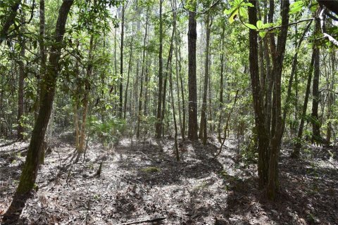 Land in Fort MC Coy, Florida № 1555739 - photo 28