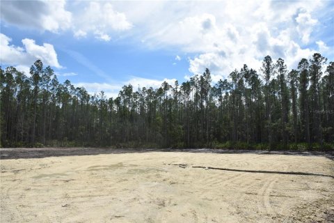 Land in Fort MC Coy, Florida № 1555739 - photo 30