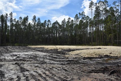 Land in Fort MC Coy, Florida № 1555739 - photo 4
