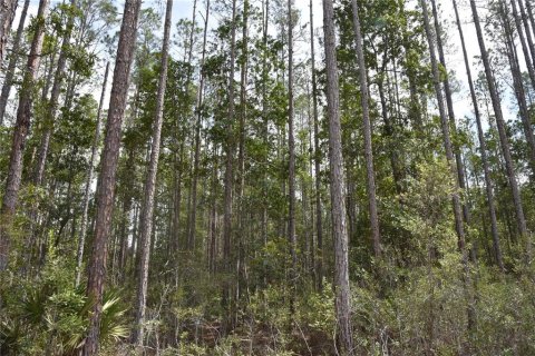 Land in Fort MC Coy, Florida № 1555739 - photo 16