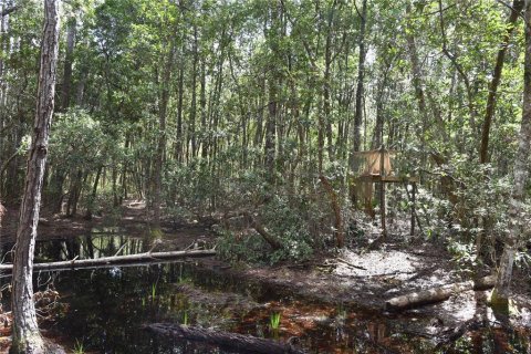 Land in Fort MC Coy, Florida № 1555739 - photo 14