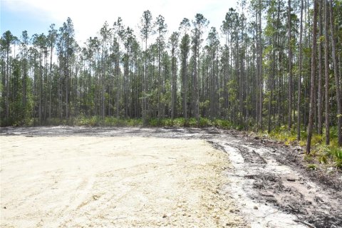 Land in Fort MC Coy, Florida № 1555739 - photo 3
