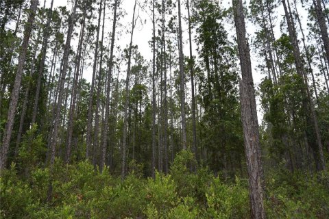 Land in Fort MC Coy, Florida № 1555739 - photo 21