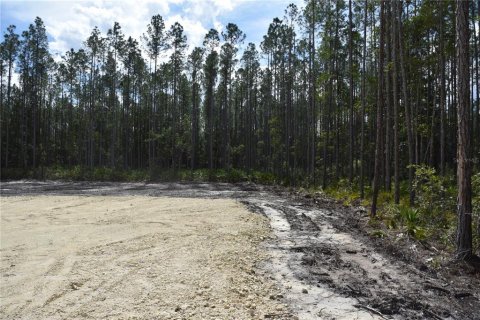 Land in Fort MC Coy, Florida № 1555739 - photo 18
