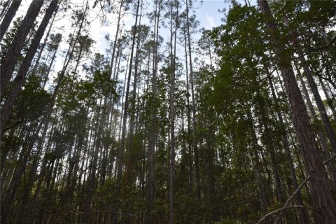 Land in Fort MC Coy, Florida № 1555739 - photo 9