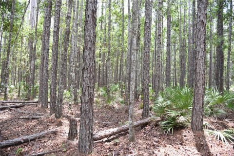 Land in Fort MC Coy, Florida № 1555739 - photo 23
