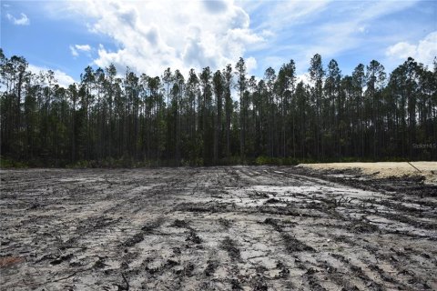 Land in Fort MC Coy, Florida № 1555739 - photo 29