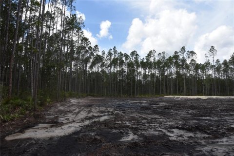 Land in Fort MC Coy, Florida № 1555739 - photo 6