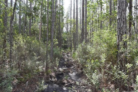 Land in Fort MC Coy, Florida № 1555739 - photo 25