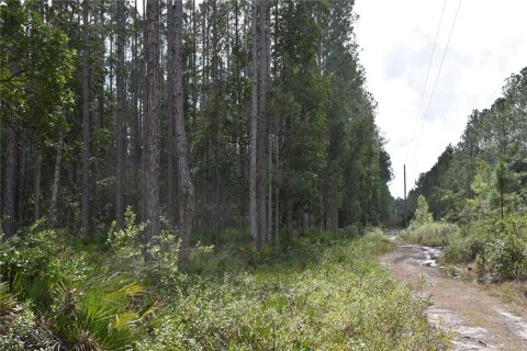 Land in Fort MC Coy, Florida № 1555739 - photo 11