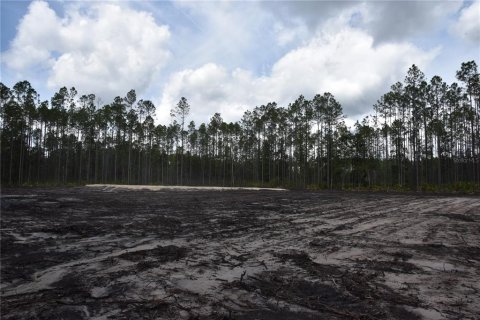 Land in Fort MC Coy, Florida № 1555739 - photo 5
