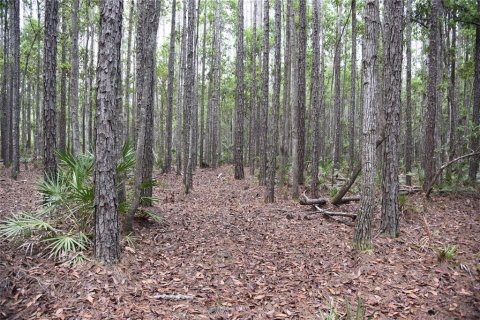 Land in Fort MC Coy, Florida № 1555739 - photo 20