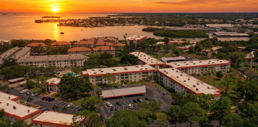 Condo in Dunedin, Florida, 2 bedrooms  № 2238135
