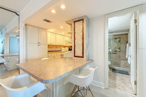Condo in Saint Pete Beach, Florida, 1 bedroom № 2402752 - photo 13