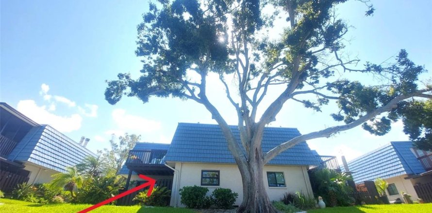 Touwnhouse à Seminole, Floride 2 chambres, 133.78 m2 № 2385696