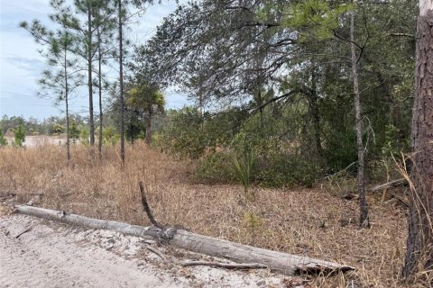 Land in Crystal River, Florida № 2161792 - photo 4
