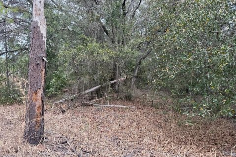 Land in Crystal River, Florida № 2161792 - photo 3