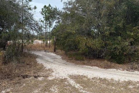 Land in Crystal River, Florida № 2161792