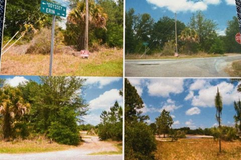 Land in Crystal River, Florida № 2161792 - photo 6