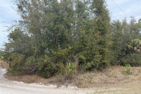 Land in Crystal River, Florida № 2161792 - photo 2
