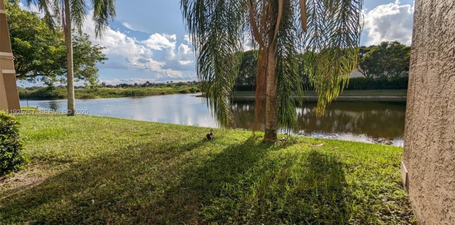 Condo in Pembroke Pines, Florida, 1 bedroom  № 1983862