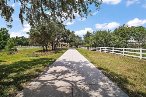 Villa ou maison à louer à Clermont, Floride: 4 chambres, 365.2 m2 № 1909897 - photo 2