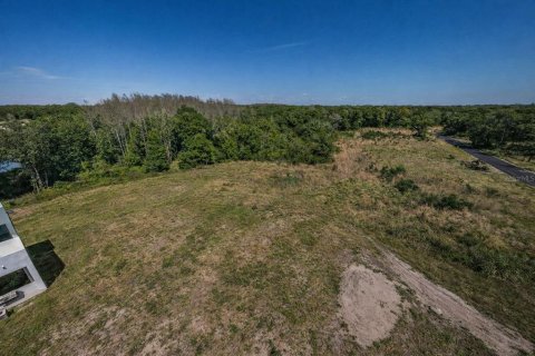 Land in Tampa, Florida № 2106692 - photo 3