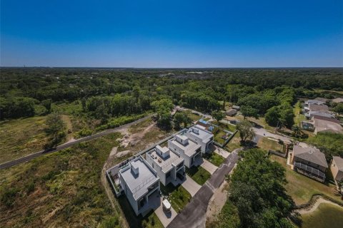 Land in Tampa, Florida № 2106692 - photo 2