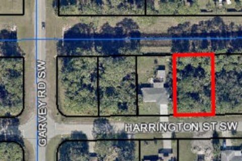 Land in Palm Bay, Florida № 2160049