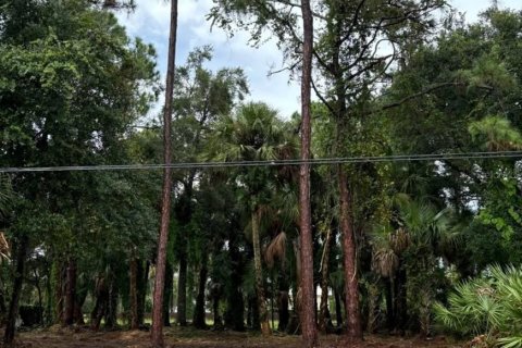 Land in Palm Bay, Florida № 2160049 - photo 2