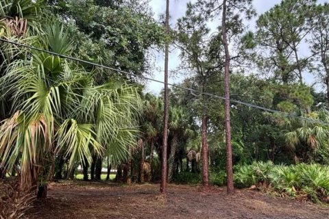 Land in Palm Bay, Florida № 2160049 - photo 4