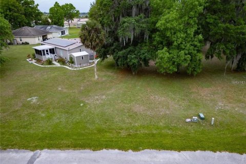 Land in Wildwood, Florida № 2278026
