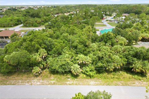Land in North Port, Florida № 2219171 - photo 6