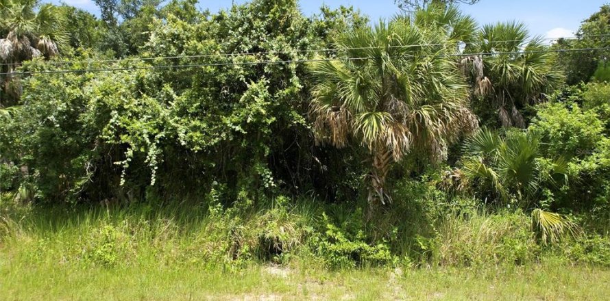 Land in North Port, Florida № 2219171