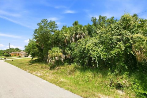 Land in North Port, Florida № 2219171 - photo 4