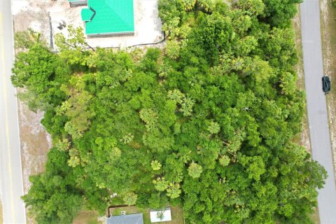 Land in North Port, Florida № 2219171 - photo 10