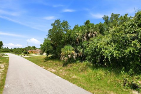 Land in North Port, Florida № 2219171 - photo 3