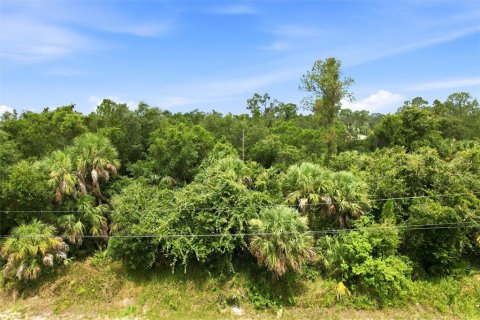 Land in North Port, Florida № 2219171 - photo 5