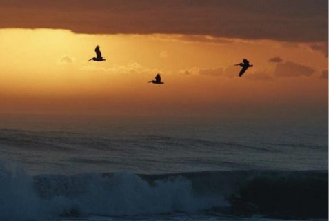 Condo in Boynton Beach, Florida, 1 bedroom  № 1009670 - photo 1